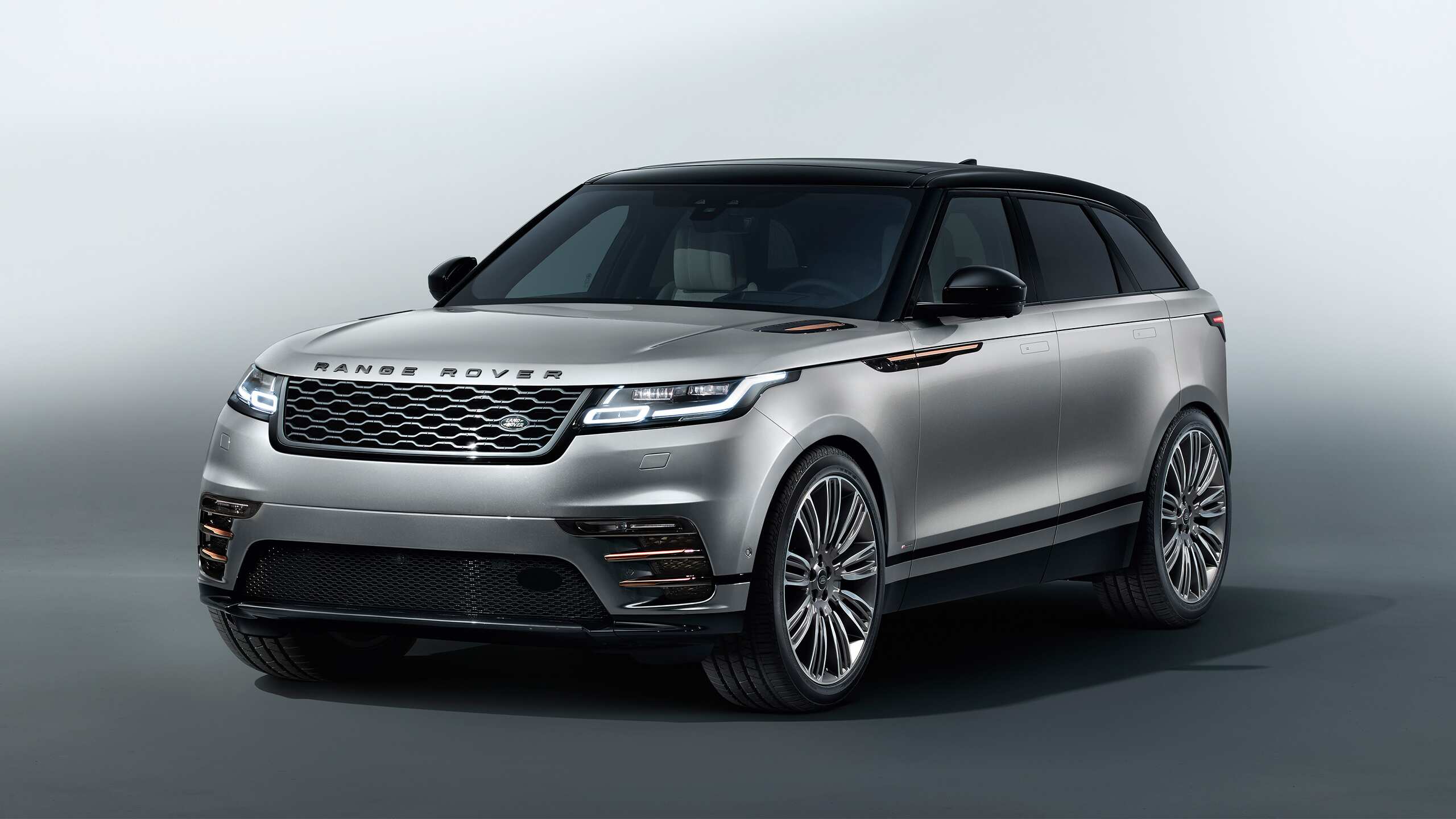 Velar in grey background